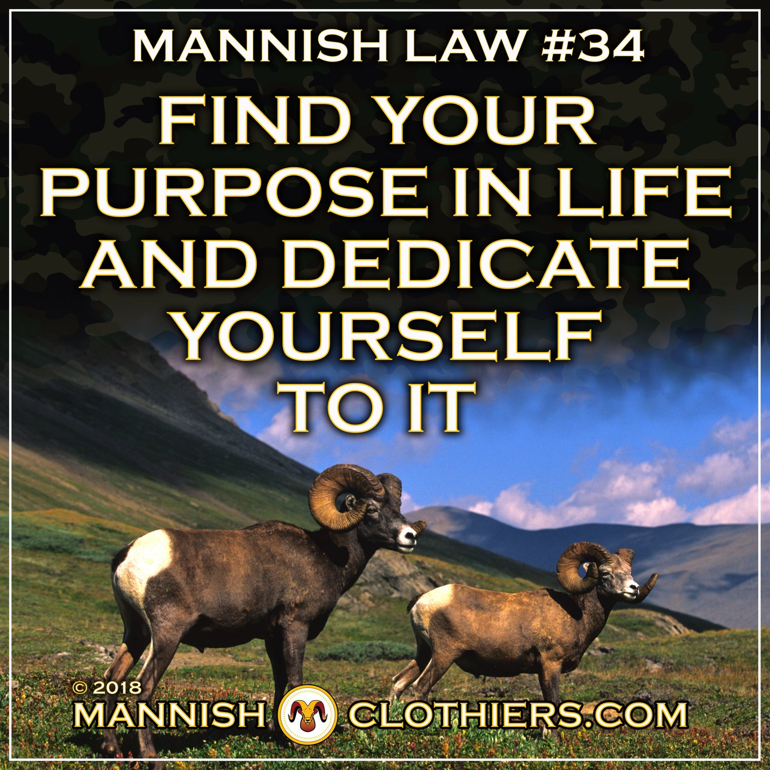 Mannish Law #34