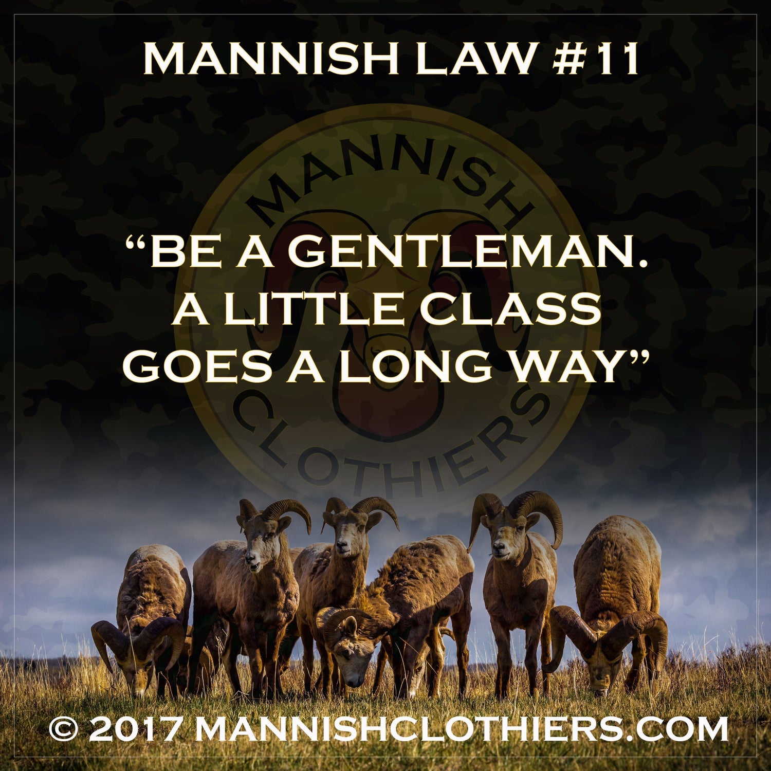 Mannish Law #11