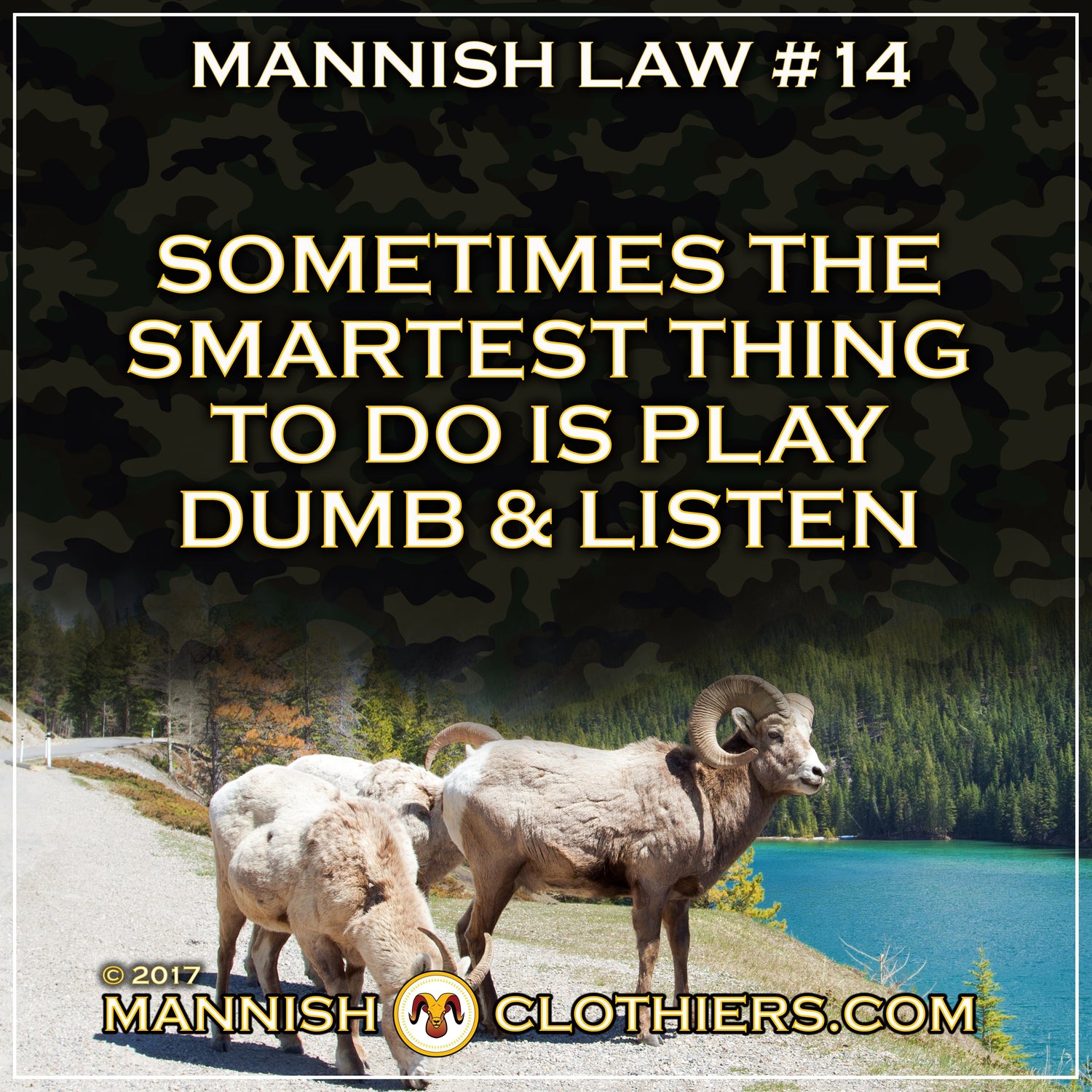 Mannish Law #14