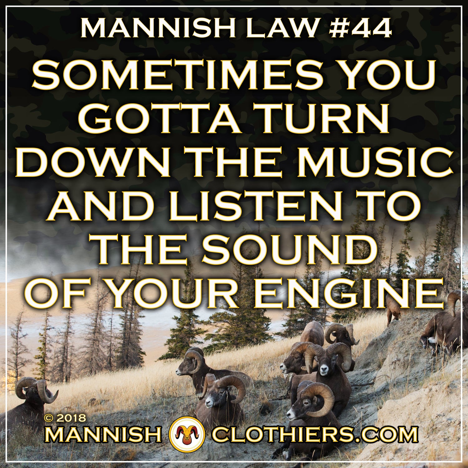 Mannish Law #44