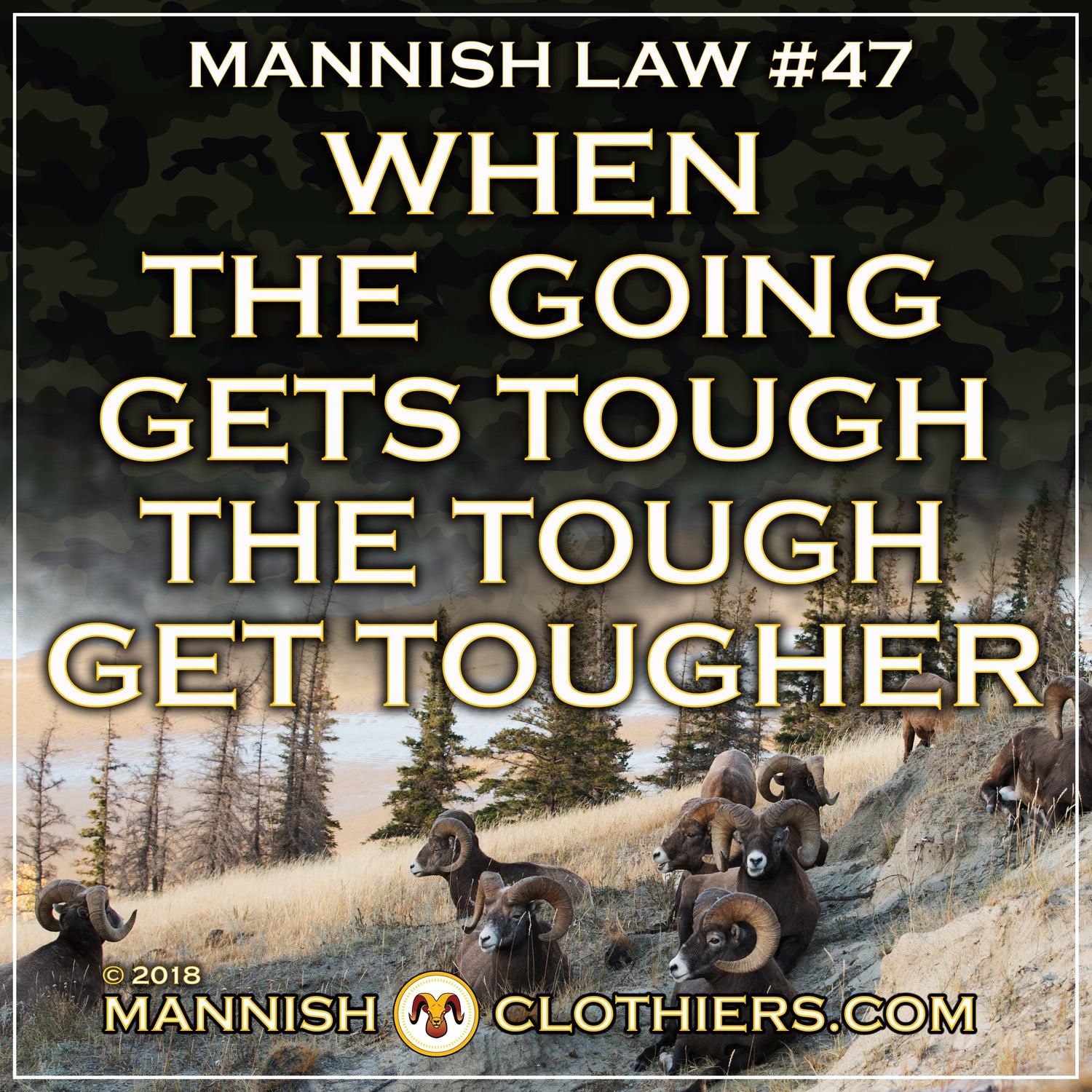 Mannish Law #47