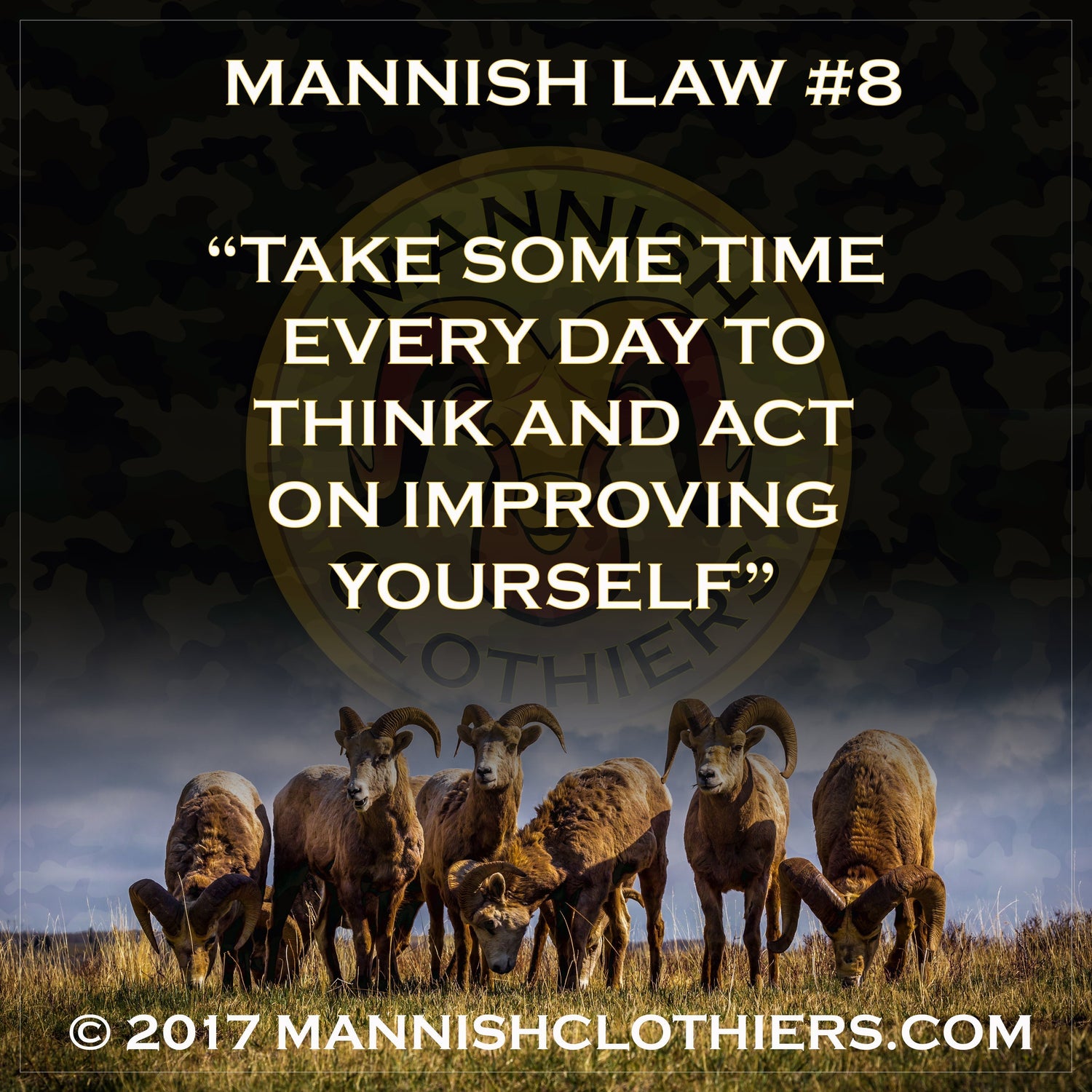 Mannish Law #8