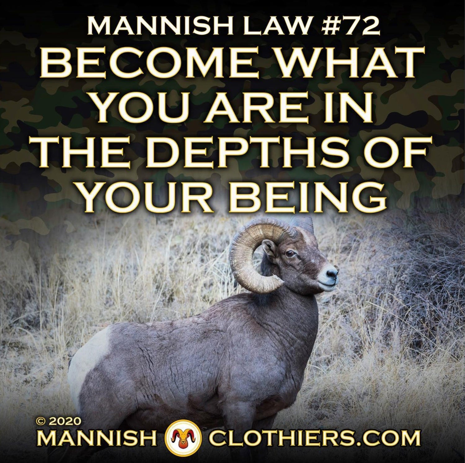 Mannish Law #72
