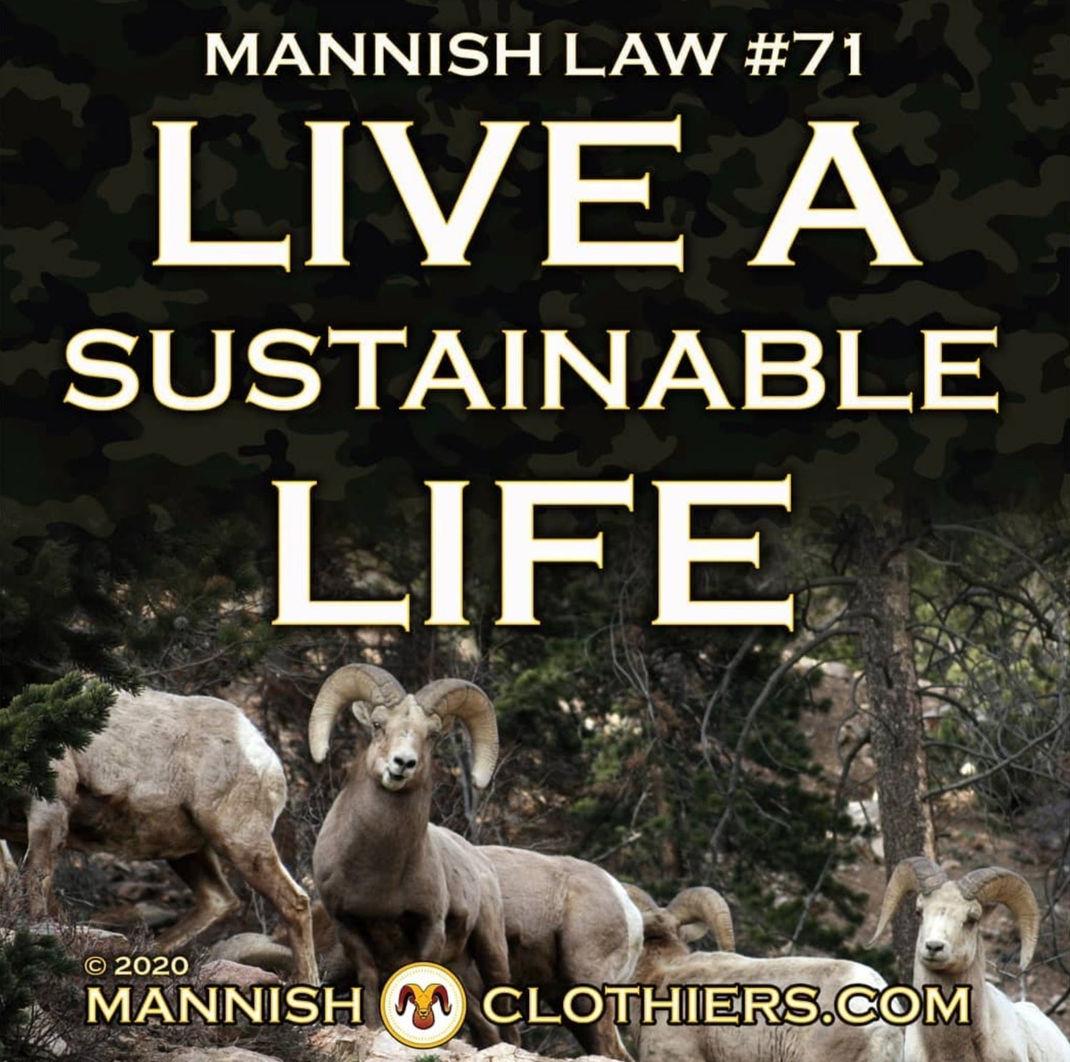 Mannish Law #71