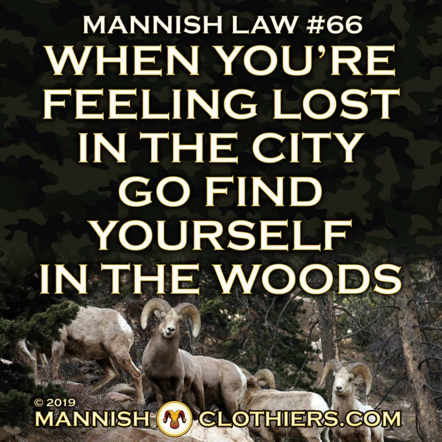 Mannish Law #66